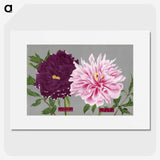 1-4_The-Picture-Book-of-Peonies_picture