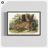 1-4_The-Viviparous-Quadrupeds_blk-crop