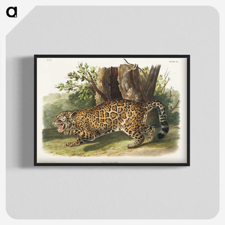 1-4_The-Viviparous-Quadrupeds_blk-crop