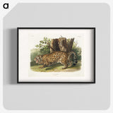 1-4_The-Viviparous-Quadrupeds_blk