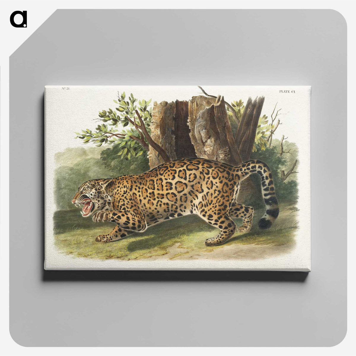 1-4_The-Viviparous-Quadrupeds_canvas