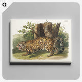 1-4_The-Viviparous-Quadrupeds_canvas