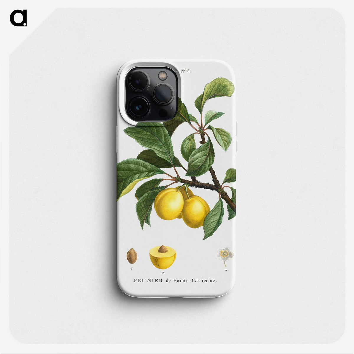 1-4_Treatise-on-Trees-and-Shrubs_phone