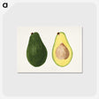 1-4_USDA-Watercolor-Fruit-Painting-Collection_postcard