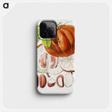 Chinese Lard Seed (Hodgsonia Heteroclita) - ウォルター フッド フィッチ Phone Case.