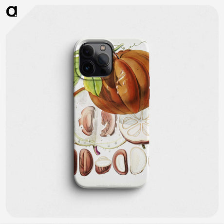 1-4_Walter-Hood-Fitch_phone