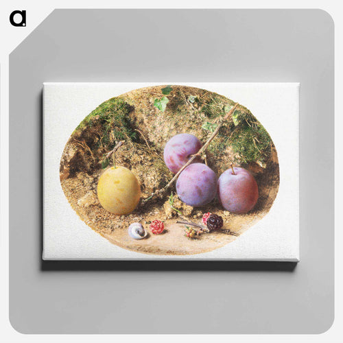 Aesthetic watercolor plums and mulberries - ウィリアム ヘンリー ハント Canvas.