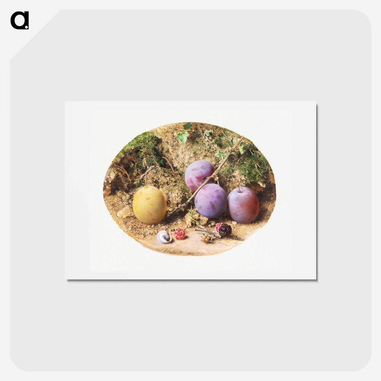 アートポストカード-Aesthetic watercolor plums and mulberries - ウィリアム ヘンリー ハント Postcard.