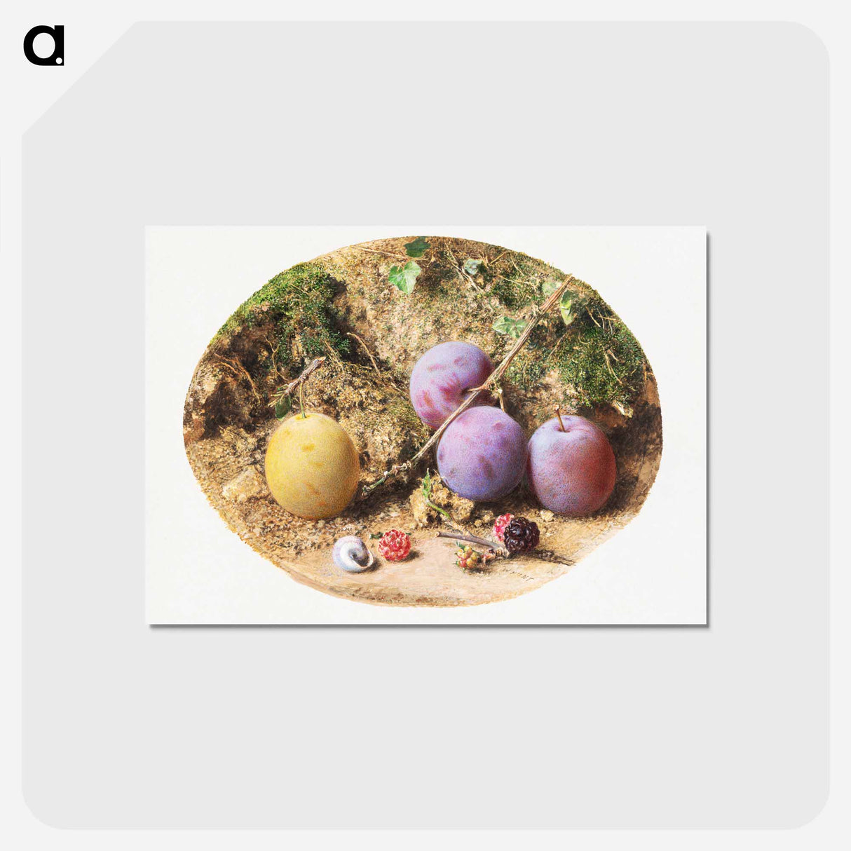 アートポストカード-Aesthetic watercolor plums and mulberries - ウィリアム ヘンリー ハント Postcard.