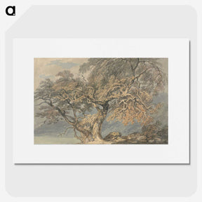 1-4_William-Turner_picture