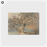 アートポストカード-A Great Tree - ウィリアム ターナー Postcard.