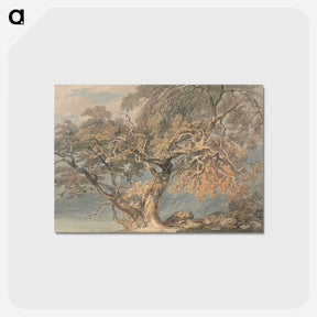 アートポストカード-A Great Tree - ウィリアム ターナー Postcard.