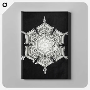 1-4_Wilson-Bentley_canvas