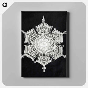 アートパネル-Wilson Bentley's Snowflake 579A - ウィルソン ベントレー Canvas.