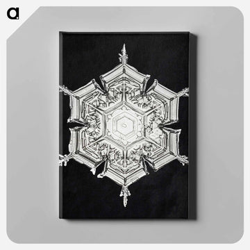 Wilson Bentley's Snowflake 579A - ウィルソン ベントレー Canvas.