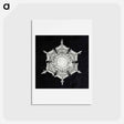 アートポストカード-Wilson Bentley's Snowflake 579A - ウィルソン ベントレー Postcard.