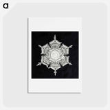アートポストカード-Wilson Bentley's Snowflake 579A - ウィルソン ベントレー Postcard.