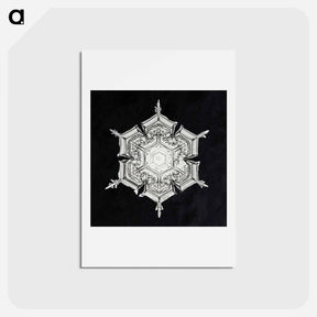 アートポストカード-Wilson Bentley's Snowflake 579A - ウィルソン ベントレー Postcard.