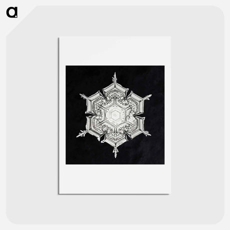 アートポストカード-Wilson Bentley's Snowflake 579A - ウィルソン ベントレー Postcard.