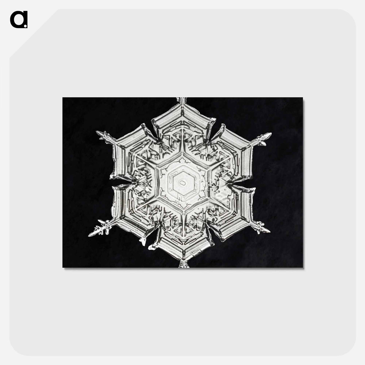アートポストカード-Wilson Bentley's Snowflake 579A - ウィルソン ベントレー Postcard.