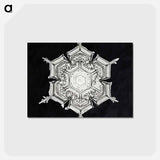 アートポストカード-Wilson Bentley's Snowflake 579A - ウィルソン ベントレー Postcard.