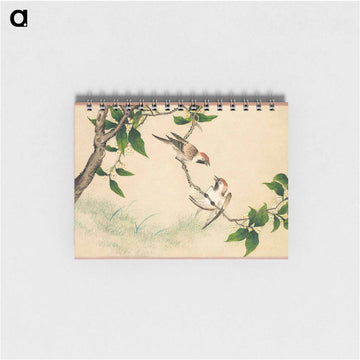 Gossiping Sparrows - 張若愛 Memo.