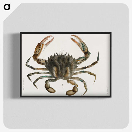 1-4_Zoology-of-New-York_blk-crop