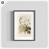 Bird and plants illustration - イー ララ Poster.