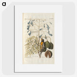 1-4_e-rara_picture