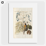Bird and plants illustration - イー ララ Poster.