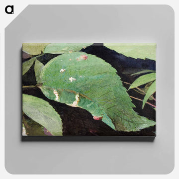 White Birch Leaf Edge Caterpillar - アボット ハンダーソン セイヤー Canvas.