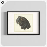 1-50_Aert-Schouman_blk