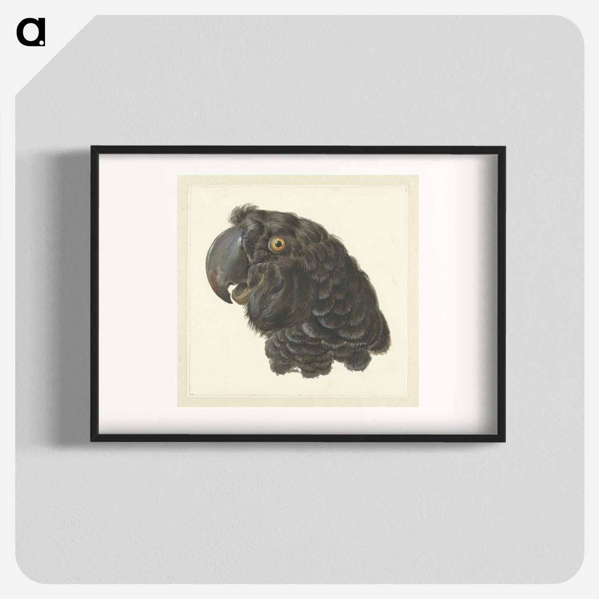Head of a Cockatoo - アールト シューマン Poster.