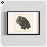 Head of a Cockatoo - アールト シューマン Poster.