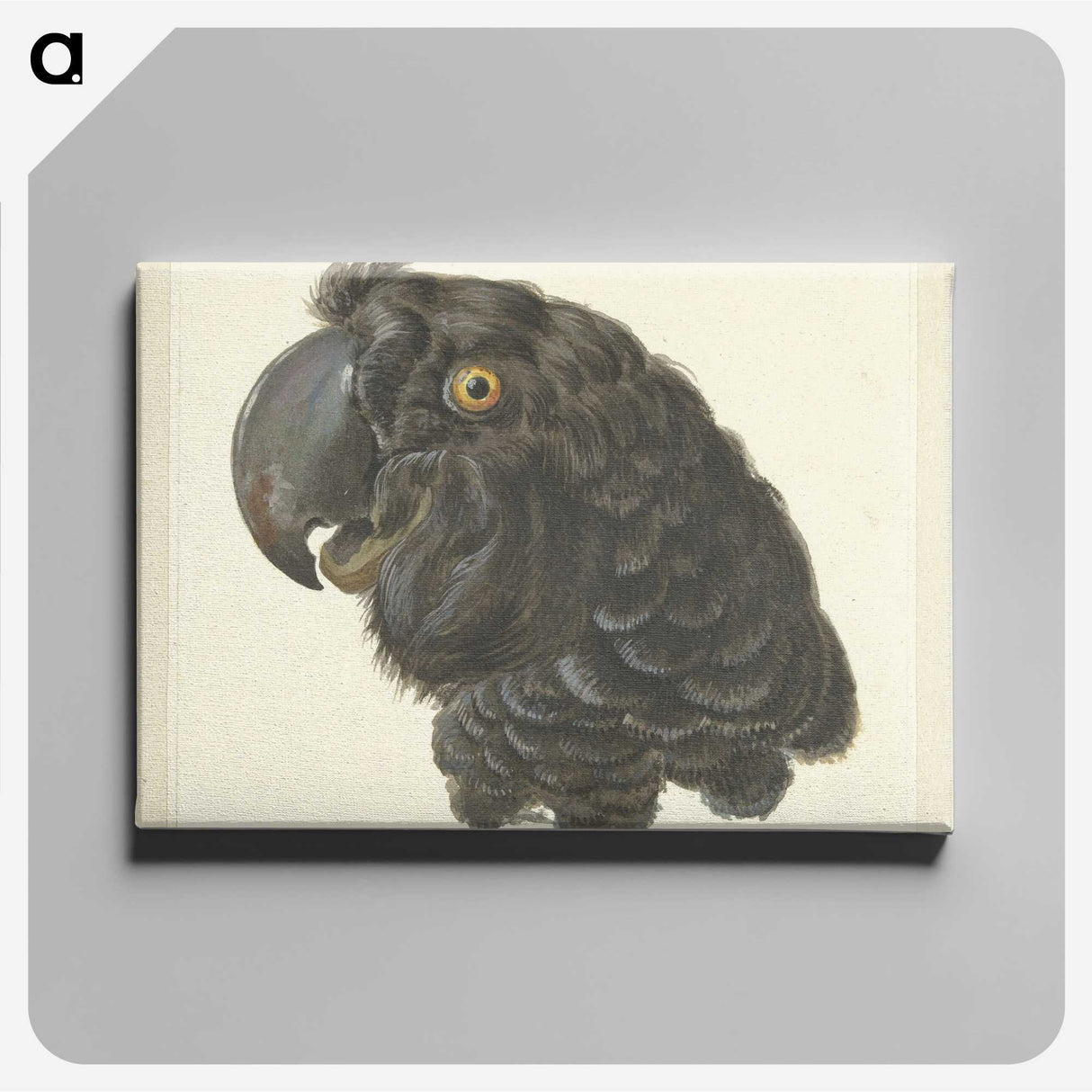 1-50_Aert-Schouman_canvas