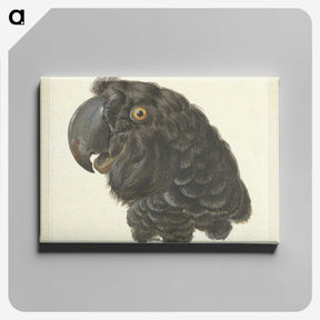 1-50_Aert-Schouman_canvas