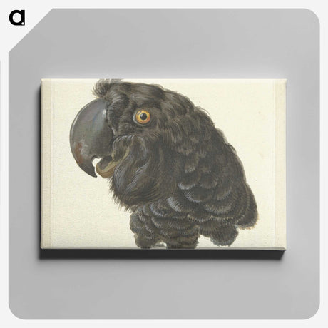 1-50_Aert-Schouman_canvas