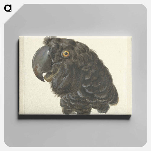 Head of a Cockatoo - アールト シューマン Canvas.