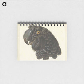 アートメモ帳-Head of a Cockatoo - アールト シューマン Memo.