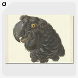 1-50_Aert-Schouman_picture-crop