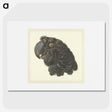 1-50_Aert-Schouman_picture