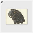 1-50_Aert-Schouman_postcard