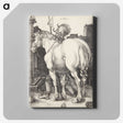 1-50_Albrecht-Durer_canvas