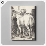 1-50_Albrecht-Durer_canvas