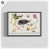 1-50_Anselmus-Boetius-de-Boodt_blk-crop