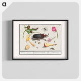 Natural History Ensemble, no. 18 - アンセルムス ボエティウス デ ブート Poster.