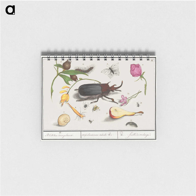 1-50_Anselmus-Boetius-de-Boodt_memo
