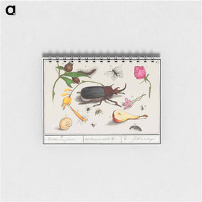 アートメモ帳-Natural History Ensemble, no. 18 - アンセルムス ボエティウス デ ブート Memo.