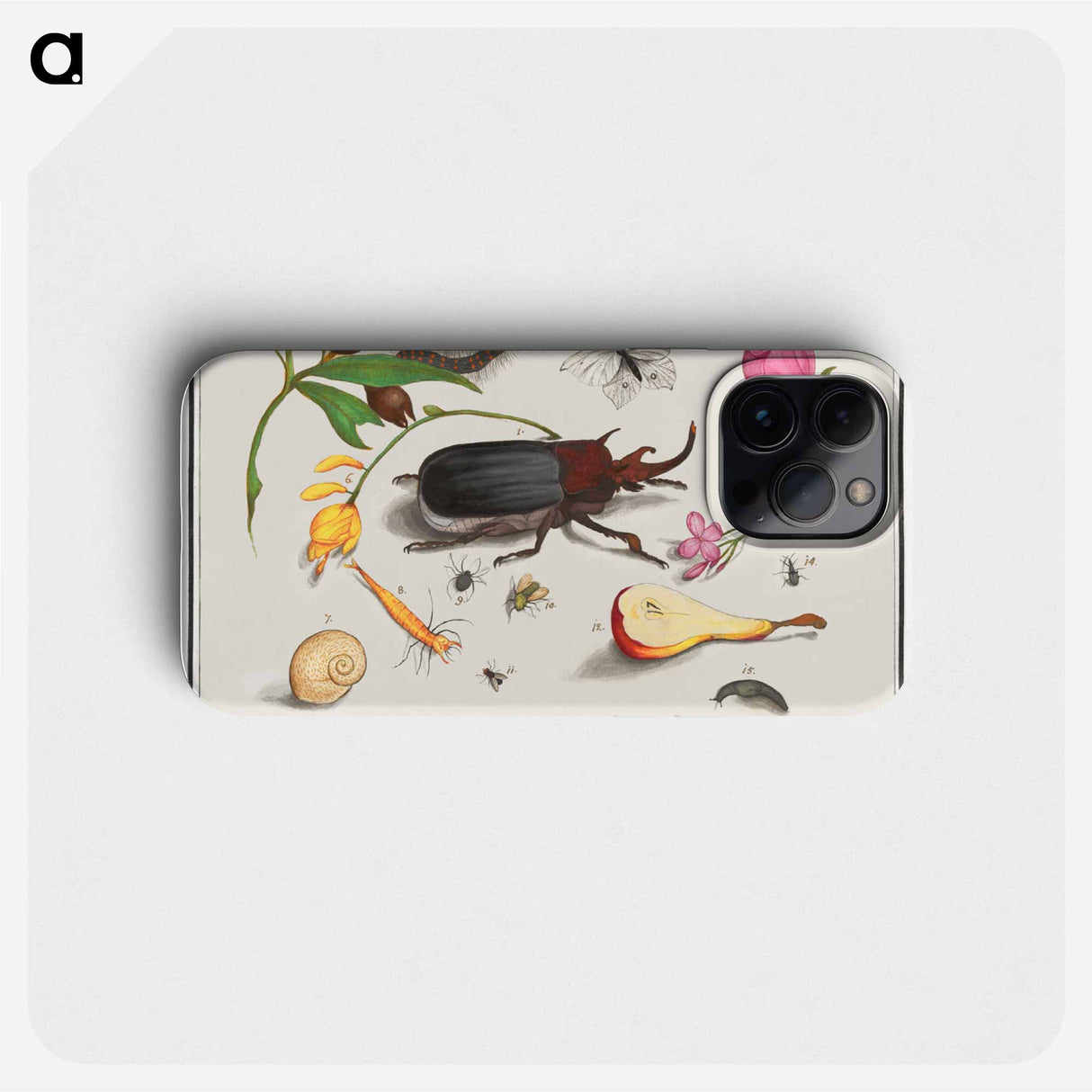 Natural History Ensemble, no. 18 - アンセルムス ボエティウス デ ブート Phone Case.