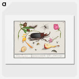Natural History Ensemble, no. 18 - アンセルムス ボエティウス デ ブート Poster.